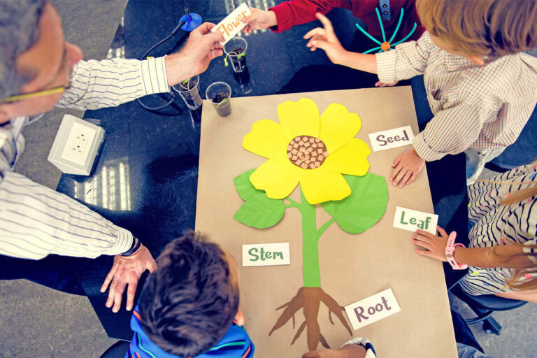 CLIL Bring the bilingual experience into your school